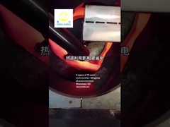 হট প্রেস অয়েল প্রেস মেশিনের জন্য qingjiang বীজ রোস্টার