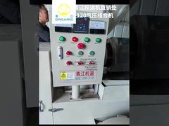 ফিল্টার সহ তেল প্রেস