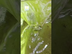 সূর্যমুখী বীজের তেল প্রেস মেশিন