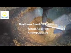 কোল্ড প্রেসড তেল এক্সট্রাক্টর