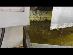 কোল্ড প্রেস পেঁয়াজ তেল মিল নারকেল তেল প্রেসিং মেশিন