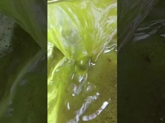 কোল্ড প্রেস তেল কেক সয়াবিন এক্সট্রাকশন মেশিন